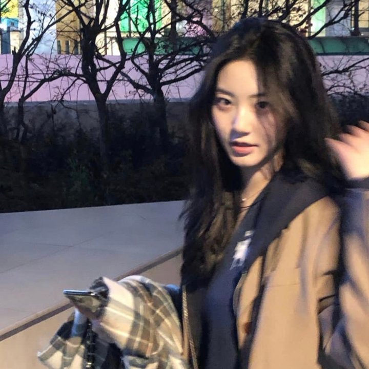 星蝶公主第四季